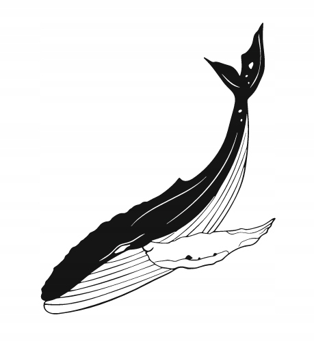 DEKORACJA ścienna Obraz wzór WIELORYB