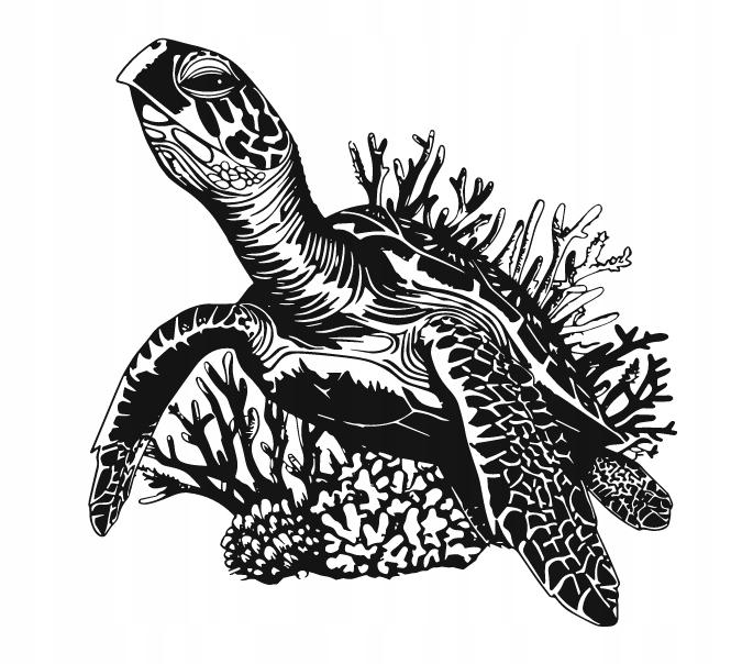 DEKORACJA ścienna Obraz wzór ŻÓŁW