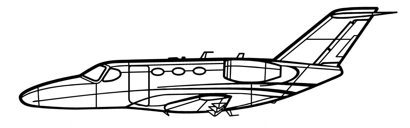 DEKORACJA ścienna Obraz CITATION MUSTANG