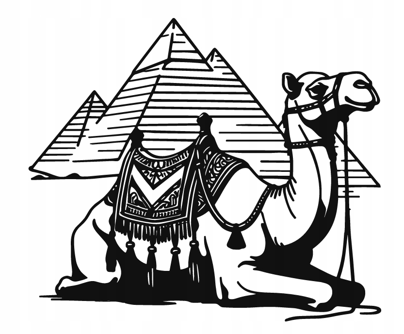 DEKORACJA ścienna Obraz wzór WIELBŁĄD