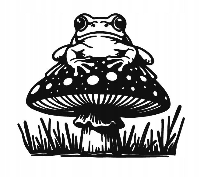 DEKORACJA ścienna Obraz wzór ŻABA NA MUCHOMORZE