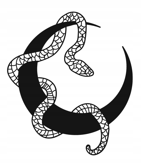 DEKORACJA ścienna Obraz wzór WĄŻ NA KSIĘŻYCU