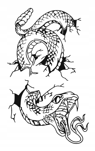 DEKORACJA ścienna Obraz wzór WĄŻ