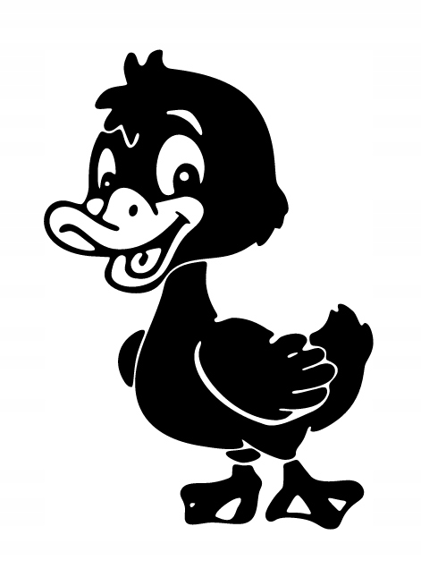 KACZKA PANEL ŚCIENNY NAKLEJKA OBRAZ