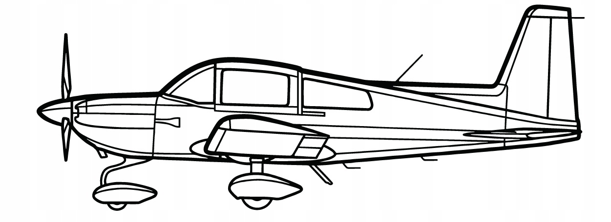DEKORACJA ścienna Obraz AG-5B TIGER