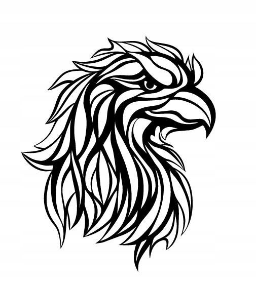 ORZEŁ PTAK DEKORACJA PANEL ŚCIENNY NAKLEJKA OBRAZ