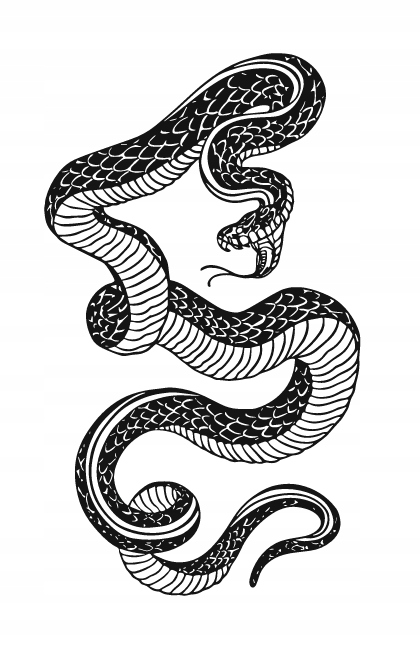 DEKORACJA ścienna Obraz wzór WĄŻ